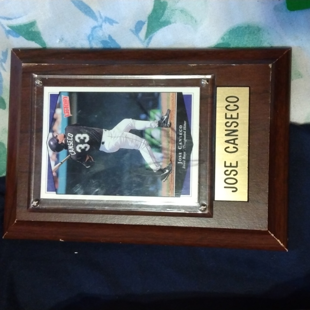 Jose canseco victory devil rays card signed